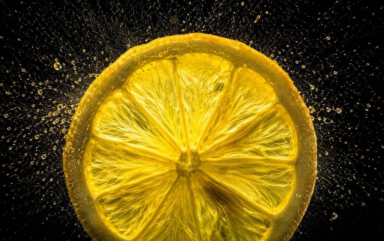 Fresh lemon cross-section